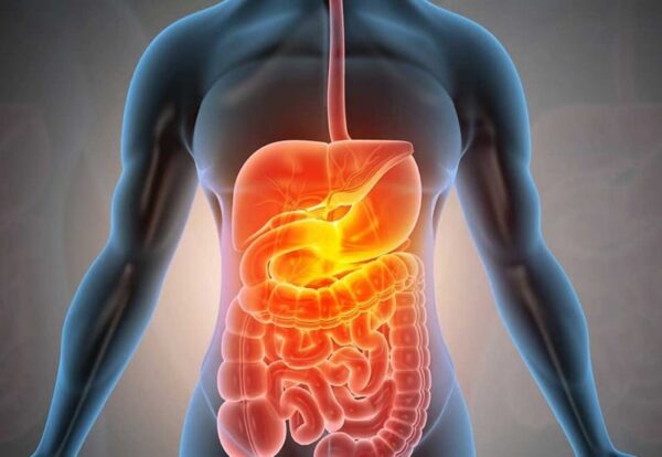 gastro